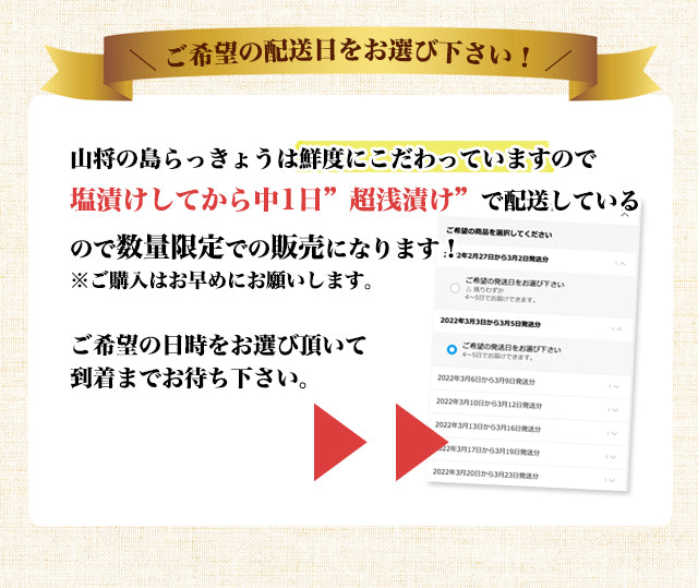 島らっきょう 塩漬け 100g×3袋 沖縄 お取り寄せ 芸能人 グルメ