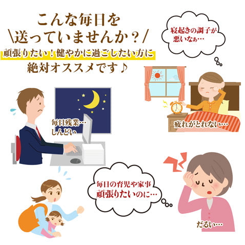 新にんにく 新ニンニク にんにく 生にんにく 島ニンニク 島にんにく 1kg