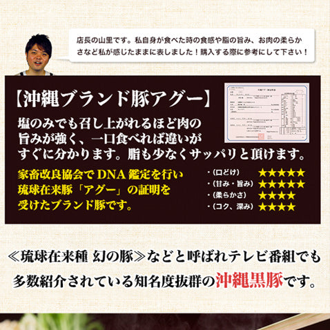 あぐー豚 アグー豚 しゃぶしゃぶ 豚肉 沖縄 お取り寄せ お中元 夏 グルメ 【モモ 500g入2~3人前/100g×5個】