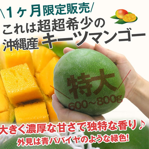 キーツマンゴー 沖縄 マンゴー 大玉 沖縄マンゴー 【600g~800g】
