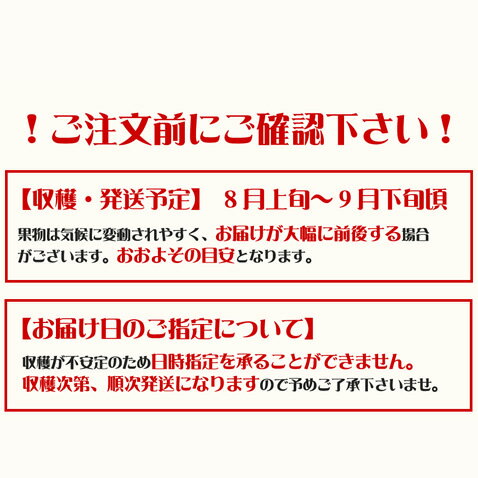 キーツマンゴー 沖縄 マンゴー 大玉 沖縄マンゴー 【600g~800g】