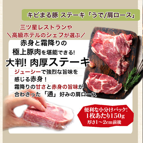 【送料無料】 あぐー豚 アグー豚 高級 国産 焼肉 肉 BBQ バーベキュー セット 19人～20人前