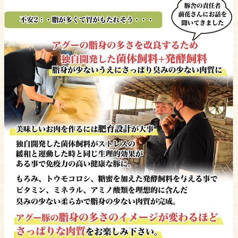 あぐー豚 アグー豚 しゃぶしゃぶ 豚肉 沖縄 お取り寄せ お中元 夏 グルメ 【モモ 500g入2~3人前/100g×5個】