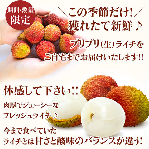 生ライチ ライチ 生 国産ライチ 200g 国産 沖縄産 お取り寄せ グルメ