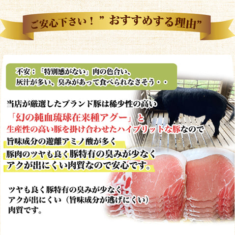 あぐー豚 アグー豚 高級 国産 焼肉 肉 BBQ バーベキュー セット【9人～10人前】