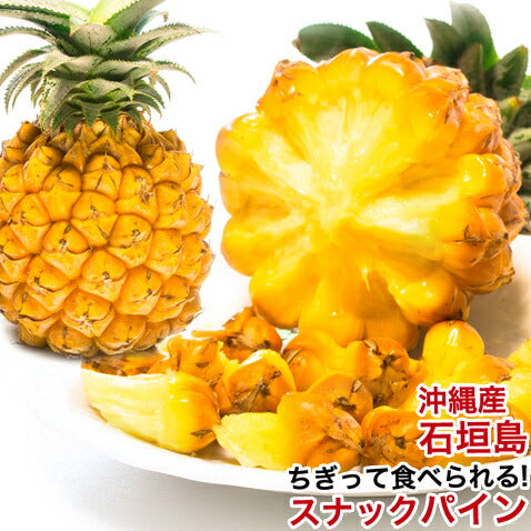 スナックパイン パイナップル 沖縄 石垣島産 お取り寄せ