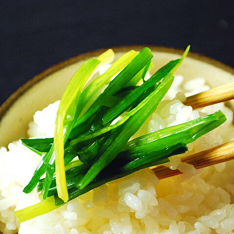 島らっきょう 葉 塩漬け ご飯のお供 ランキング オススメ