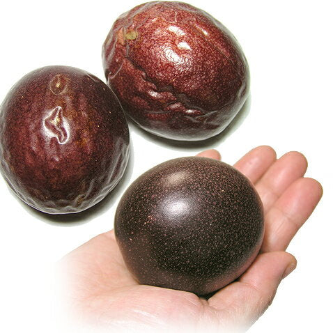 パッションフルーツ 訳あり 沖縄産 沖縄 フルーツ 500g