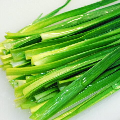 にんにく葉 ニンニクの葉 葉にんにく 島とうがらし味 100g