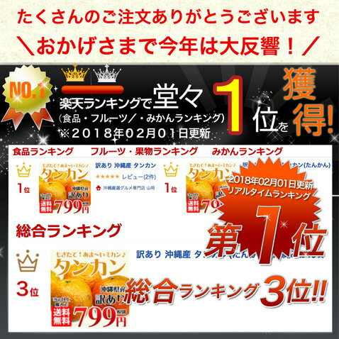 たんかん タンカン 沖縄 取り寄せ みかん