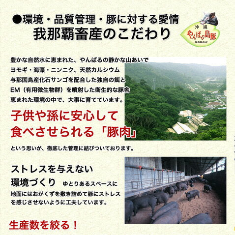 あぐー豚 アグー豚 しゃぶしゃぶ 豚肉 お取り寄せ お中元 夏 グルメ しゃぶしゃぶセット 【ロース 500g入2~3人前/100g×5個】