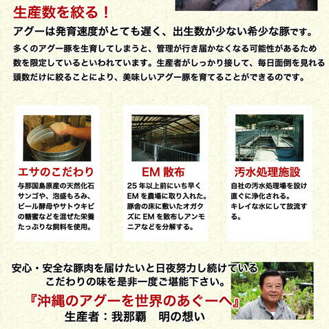 あぐー豚 アグー豚 しゃぶしゃぶ 豚肉 お取り寄せ お中元 夏 グルメ しゃぶしゃぶセット 【ロース 500g入2~3人前/100g×5個】