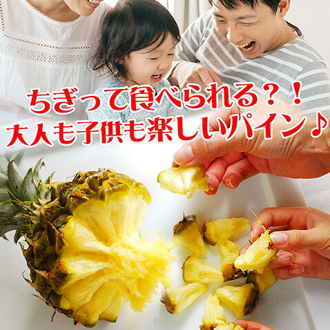 スナックパイン パイナップル 沖縄 石垣島産 お取り寄せ デザート 高級 500g~800g 【安心保証付き】