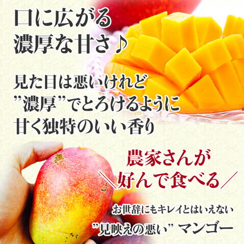 マンゴー 訳あり 沖縄 訳ありマンゴー 沖縄マンゴー 【1.5kg/3~8玉入り】