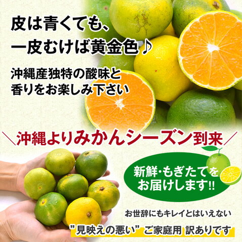 小玉みかん 極早生みかん 温州みかん 小玉 ミカン 青切り 沖縄産 【訳あり キズあり 家庭用】