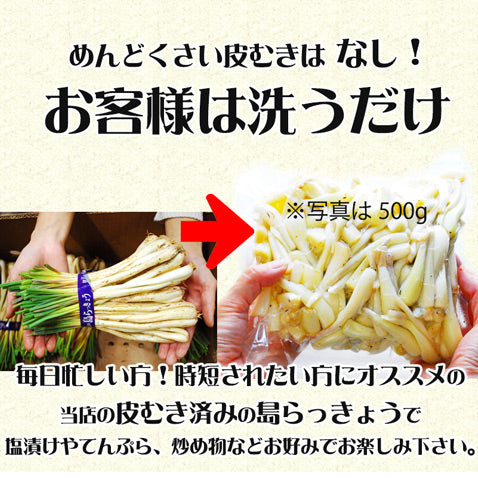 島らっきょう 生 皮むき 下処理 業務用 1kg 沖縄 沖縄お土産