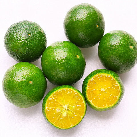 シークワーサー 果実 青切り 生 青切りシークワーサー 販売 ノビレチン 1kg