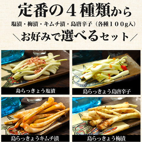 島らっきょう 塩漬け 100g×3袋 沖縄 お取り寄せ 芸能人 グルメ
