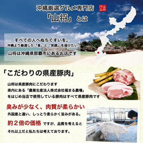 ソーキそば 沖縄そば 個食 パック 2食入り 沖縄産 国産 肉 豚肉