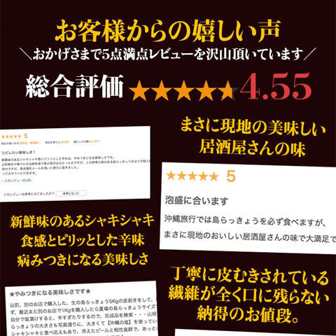 島らっきょう塩漬け 梅漬 250g 沖縄 家のみ おつまみ お取り寄せ ご飯のお供 ランキング