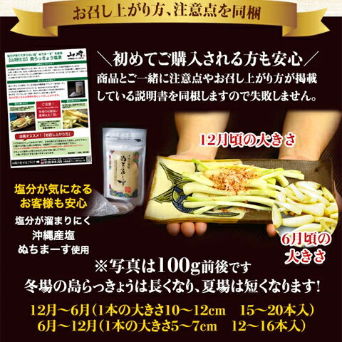 島らっきょう塩漬け 250g×3袋 お取り寄せ 芸能人 グルメ