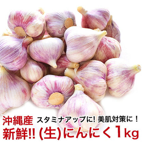 沖縄島野菜 – 沖縄厳選グルメ専門店-山将