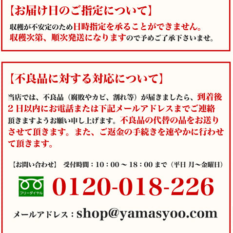 ゴールドバレル パイナップル 沖縄 石垣島産 高級 1.5kg前後 【安心保証付き】