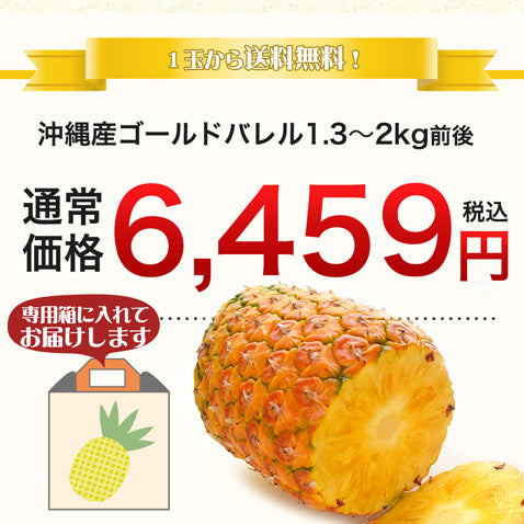 ゴールドバレル パイナップル 沖縄 石垣島産 高級 1.5kg前後 【安心保証付き】