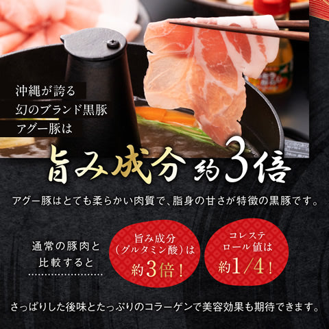 あぐー豚 アグー豚 しゃぶしゃぶ 豚肉 お取り寄せ  お中元 夏 グルメ  しゃぶしゃぶセット 【ロース 500g入2～3人前/100g×5個】