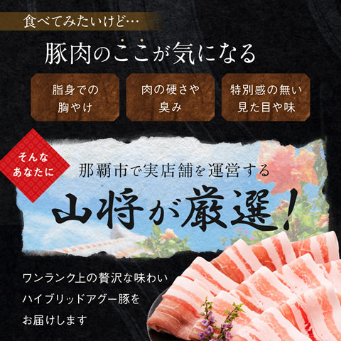 あぐー豚 アグー豚 しゃぶしゃぶ 豚肉 お取り寄せ お中元 夏 グルメ 【バラ 1000g入4～5人前/100g×10個】