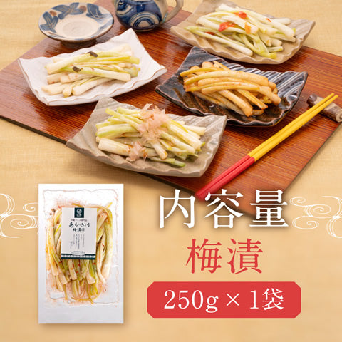 島らっきょう塩漬け 250g×5袋 沖縄 家のみ おつまみ お取り寄せ ご飯のお供 ランキング