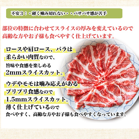 あぐー豚 アグー豚 高級 国産 焼肉 肉 BBQ バーベキュー セット【9人～10人前】