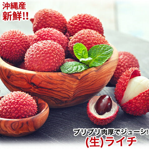 沖縄産レイシ(ライチ)200g前後 沖縄産レイシ(ライチ) 沖縄産レイシ(ライチ) 沖縄産レイシ(ライチ) 沖縄産レイシ(ライチ) 沖縄産レイシ(ライチ) 沖縄産レイシ(ライチ) 沖縄産レイシ(ライチ) 沖縄産生ライチ200g前後国産生ライチフレッシュフルーツ★2セット以上購入で送料無料さらにオマケ特典付き 沖縄産生ライチ200g前後国産生ライチフレッシュフルーツ★2セット以上購入で送料無料さらにオマケ特典付き 沖縄産生ライチ200g前後国産生ライチフレッシュフルーツ★2セット以上購入で送料無料さらにオマケ特典付き 沖縄産レイシ(ライチ) 沖縄産レイシ(ライチ)