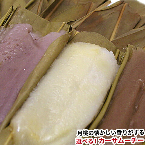 カーサムーチー カーサムーチー カーサムーチー カーサムーチー 期間限定!選べるカーサムーチー5点セット 期間限定!選べるカーサムーチー5点セット 期間限定!選べるカーサムーチー5点セット 期間限定!選べるカーサムーチー5点セット 期間限定!選べるカーサムーチー5点セット 期間限定!選べるカーサムーチー5点セット 期間限定!選べるカーサムーチー5点セット