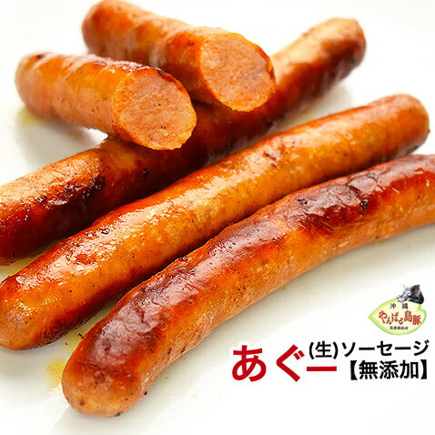 沖縄 アグー豚 あぐー豚 生 ソーセージ 無添加 【チョリソー/4本入】 お取り寄せ 芸能人 グルメ 肉