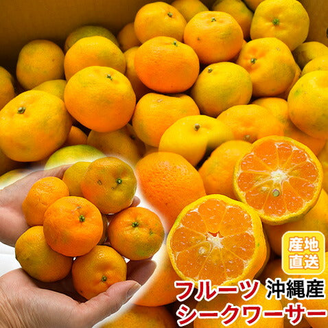 【沖縄県産】タンカン果実3kg前後(たんかん) 訳あり沖縄産タンカン沖縄みかん★ 沖縄産地直送タンカン果実3kg前後 沖縄産地直送訳ありタンカン果実 沖縄産地直送訳ありタンカン果実 沖縄産地直送訳ありタンカン果実 沖縄産地直送訳ありタンカン果実 沖縄産地直送訳ありタンカン果実 9月上旬出荷訳あり沖縄産青切り小玉みかん1kg沖縄みかん 訳あり沖縄産タンカン(たんかん)沖縄みかん★ 訳あり沖縄産タンカン(たんかん)沖縄みかん★ 訳あり沖縄産タンカン(たんかん)沖縄みかん★ 訳あり沖縄産タンカン(たんかん)沖縄みかん★