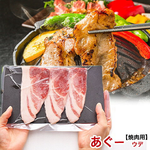 あぐー豚 アグー豚 お取り寄せ ギフト 芸能人 グルメ ウデ スライス 焼肉セット 【500g 2~3人前/100g×5個】