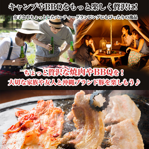 あぐー豚 アグー豚 お取り寄せ ギフト 芸能人 グルメ 肩ロース スライス 焼肉セット 【500g 2~3人前/100g×5個】
