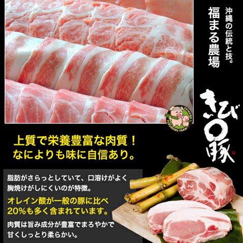 スペアリブ 骨付き肉 国産 豚肉 キビまる豚 沖縄 200g 10袋