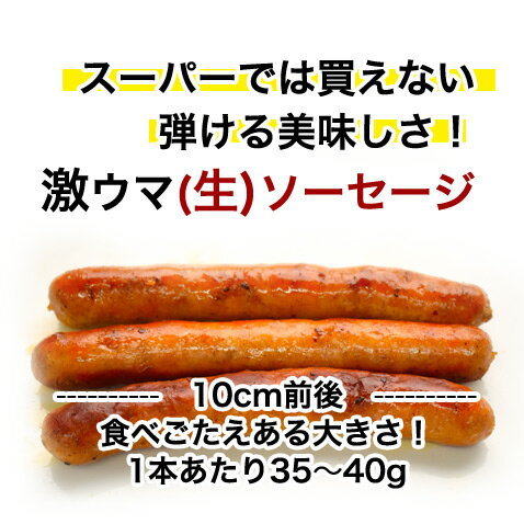 沖縄 アグー豚 あぐー豚 生 ソーセージ 無添加 【チョリソー/4本入】 お取り寄せ 芸能人 グルメ 肉