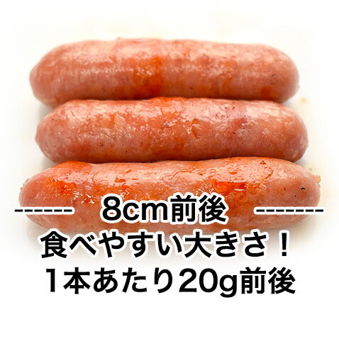 沖縄 きびまる豚 冷凍 ソーセージ バーベキュー 肉 BBQ 【20g×6本入】
