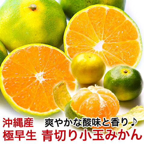 【沖縄県産】タンカン果実3kg前後(たんかん) 訳あり沖縄産タンカン沖縄みかん★ 沖縄産地直送タンカン果実3kg前後 沖縄産地直送訳ありタンカン果実 沖縄産地直送訳ありタンカン果実 沖縄産地直送訳ありタンカン果実 沖縄産地直送訳ありタンカン果実 沖縄産地直送訳ありタンカン果実 9月上旬出荷訳あり沖縄産青切り小玉みかん1kg沖縄みかん 訳あり沖縄産タンカン(たんかん)沖縄みかん★ 訳あり沖縄産タンカン(たんかん)沖縄みかん★ 訳あり沖縄産タンカン(たんかん)沖縄みかん★ 訳あり沖縄産タンカン(たんかん)沖縄みかん★
