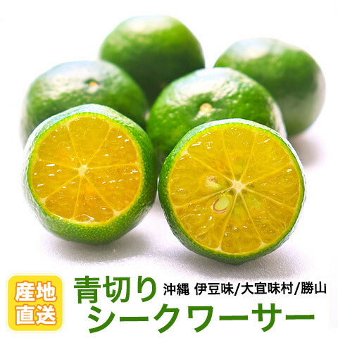 【沖縄県産】シークヮーサー果実5kg前後 シークワーサー1kgシークヮーサー青切り沖縄産 シークワーサー1kgシークヮーサー青切り沖縄産 シークワーサー1kgシークヮーサー青切り沖縄産 シークワーサー1kgシークヮーサー青切り沖縄産 シークワーサー果実青切り生ノビレチン沖縄1kg シークワーサー1kgシークヮーサー青切り沖縄産 ノビレチンシークワーサー果実青切り沖縄1kg シークワーサー1kgシークヮーサー青切り沖縄産 シークワーサー1kgシークヮーサー青切り沖縄産 シークワーサー1kgシークヮーサー青切り沖縄産 シークワーサー1kgシークヮーサー青切り沖縄産